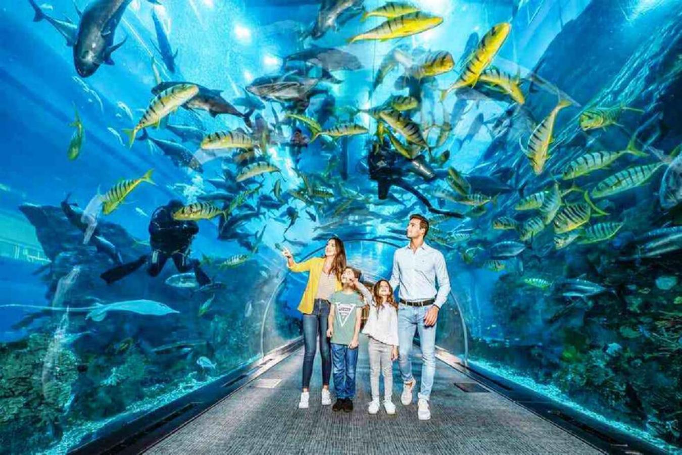 דירות ג'נובה Acquario 11 מראה חיצוני תמונה